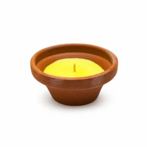 Maceta terracota cónica antiinsectos marrón 12 hrs